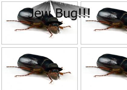 That's no june bug! It's a . . .