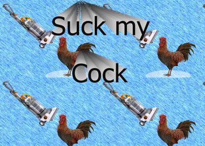 Suck my cock