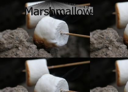 Marshmallow!