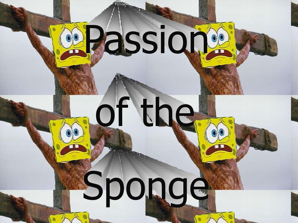 spongepassion