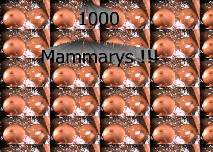 1000 Mammarys !!!