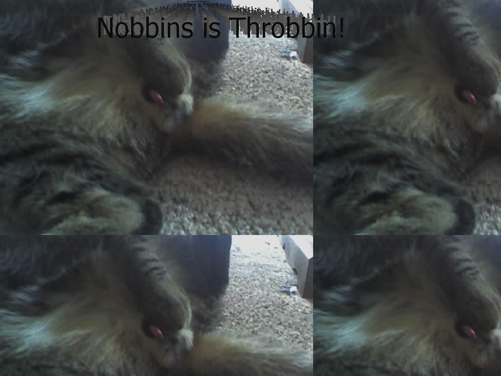 NobThrobbins
