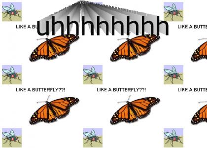 Fly Like a Butterfly