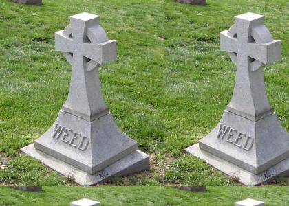 R.I.P. Weed