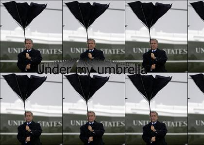 Bush Umbrella