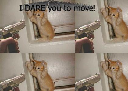 I dare you to move...