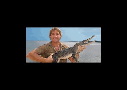 In Memory of Steve Irwin