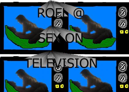 Sex on the television