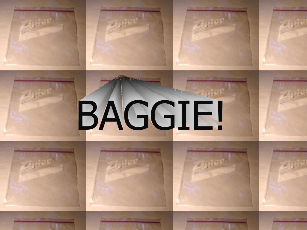 baggie