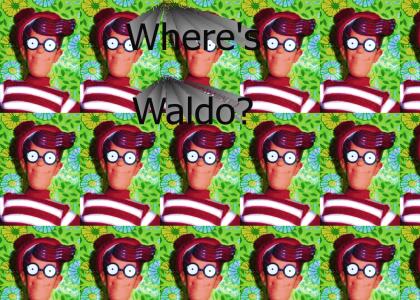 where is waldo