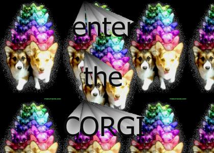 CorgiVoid