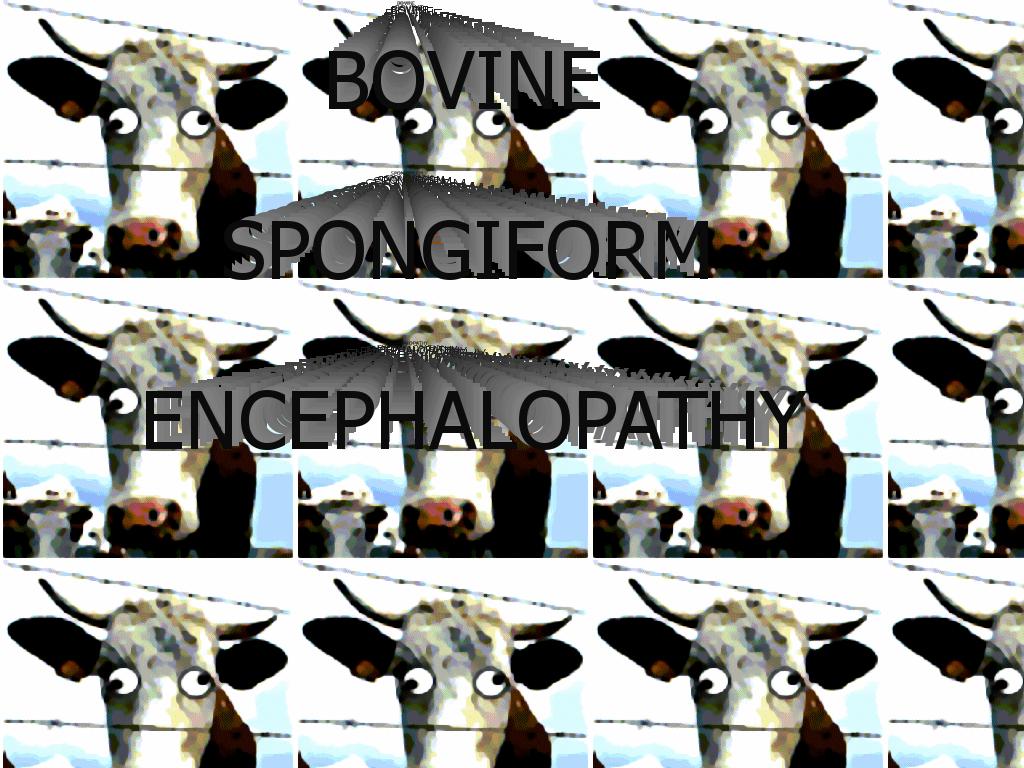 bovinespongiformencephalopathy