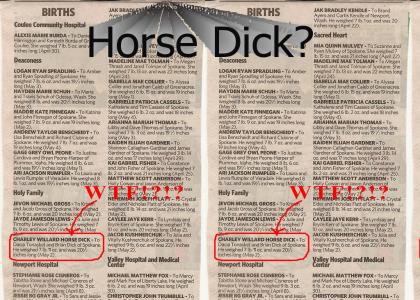 Horse Dick's Alive