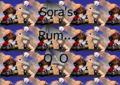 Sora phails at life