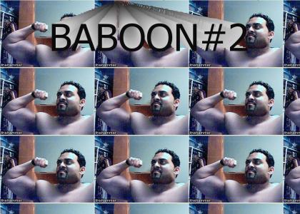 Baboon #2