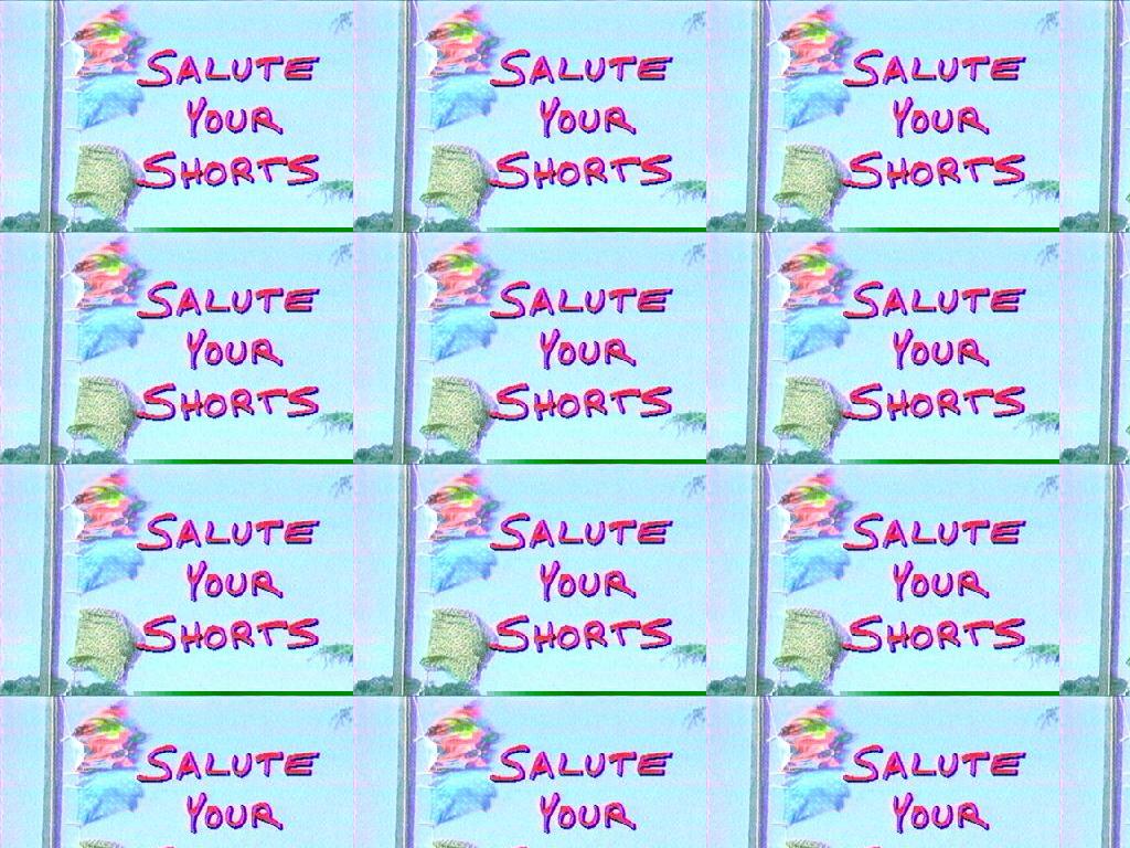 saluteyourshorts