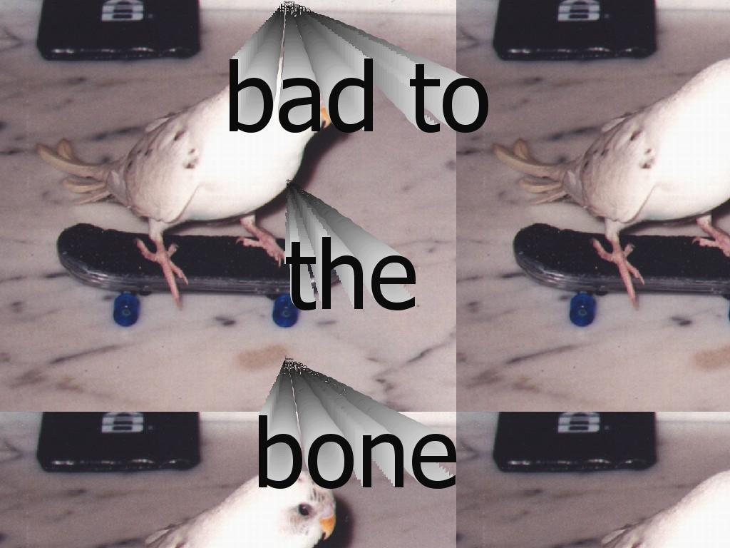 badtothebones