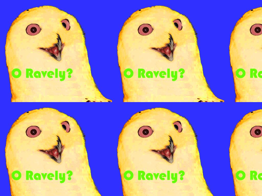 OwlRave