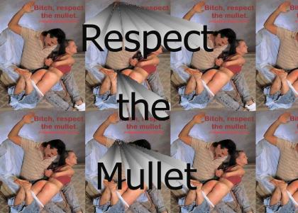 Respect the Mullet