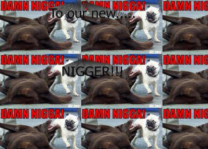 Our new nigger