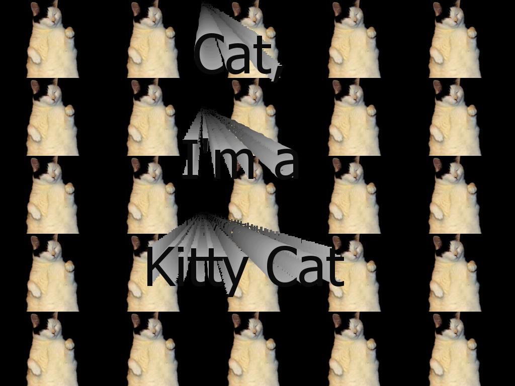 kittycatdance