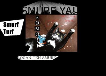 Logan The Smurf