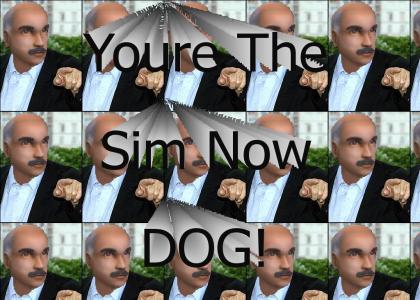 you're the sim now dog