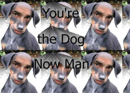 YoureTheDogNowMan