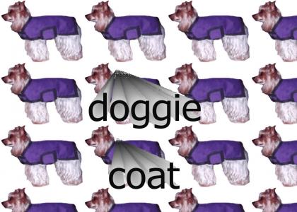 doggie got a new coat