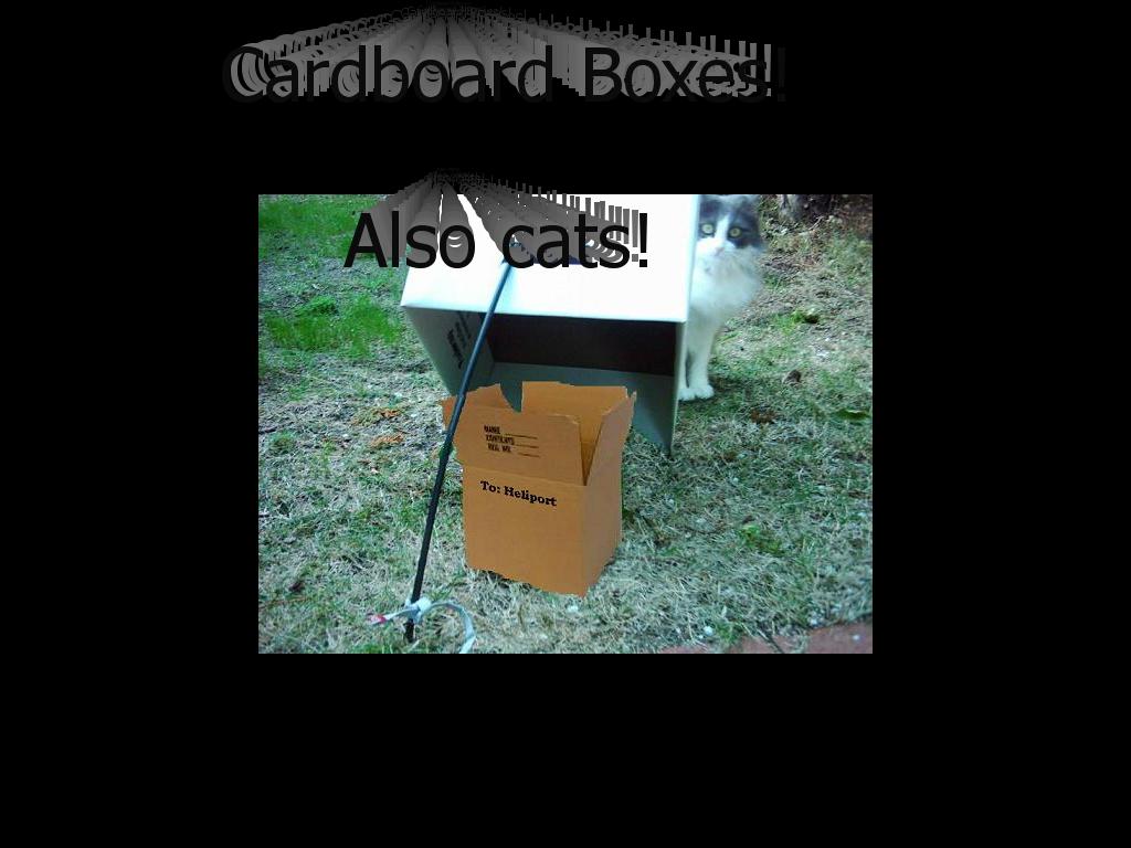 cardboardboxes