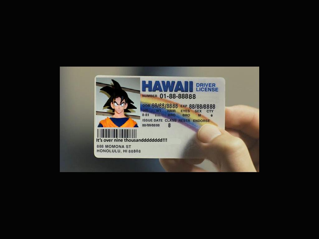 gokusnewdriverslicense