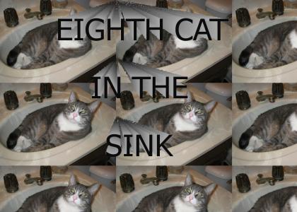 EIGHTH CAT IN THE SINK