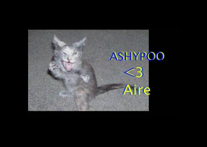 Ashypoo