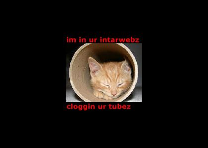 im in ur intrawebz...