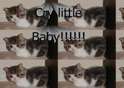 cry EMO cat!