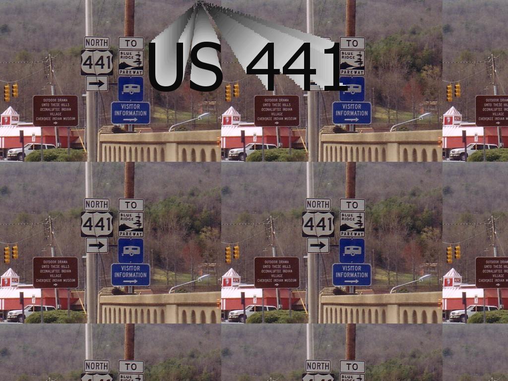 US441