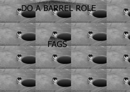 DO A FUCKING BARREL ROLE