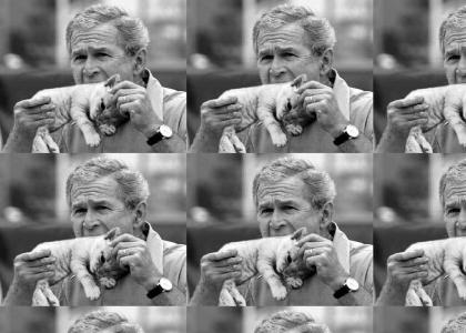 President Bush Eating Pussy
