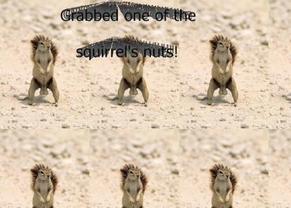 You grabbed one of the squirrel's nuts!
