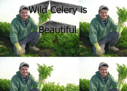 Wild Celery