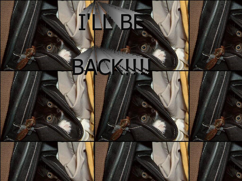 illbeback