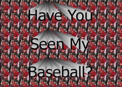 Have You Seen My Baseball
