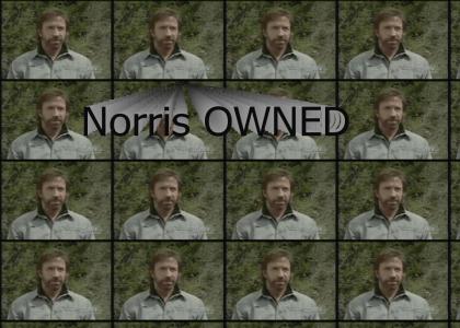 Chuck Norris gets OWNED