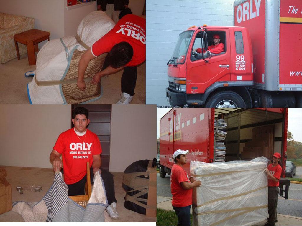 orlyworking