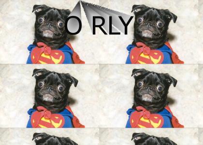 Superdog O RLY