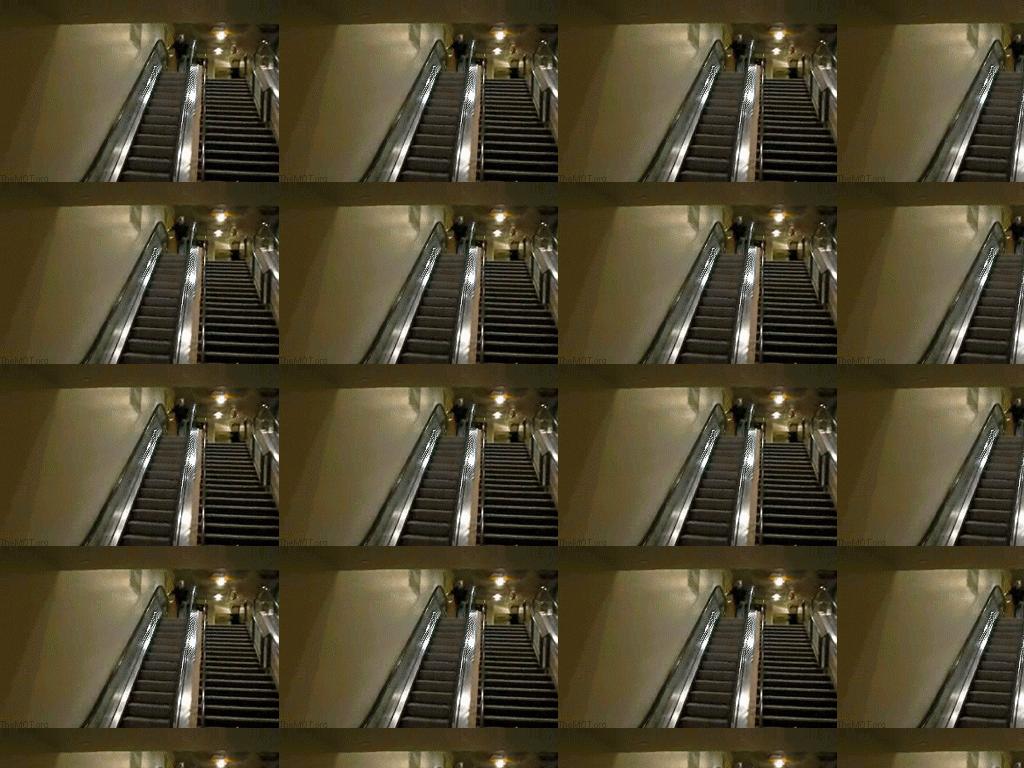 escalatorswandive