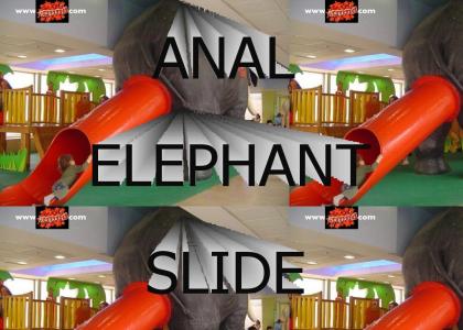 Anus Elephantitus