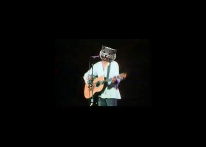 Cat Stevens sings a hit