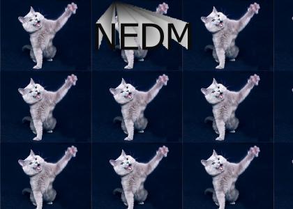 NEDM says Hi