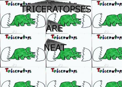 Triceratopses